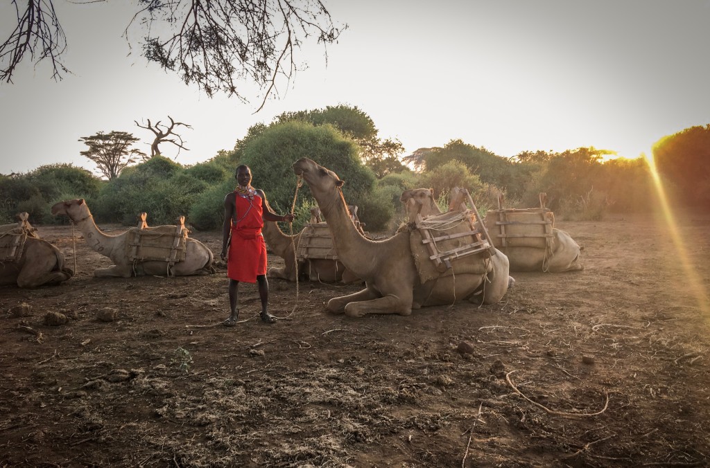 One Day That Summer - Camel Safari Kenya - Todd Ritondaro